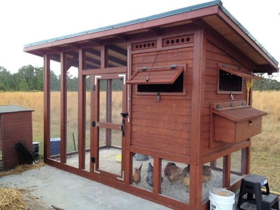 27 Free DIY Chicken Coop Plans That Beginners Can Build