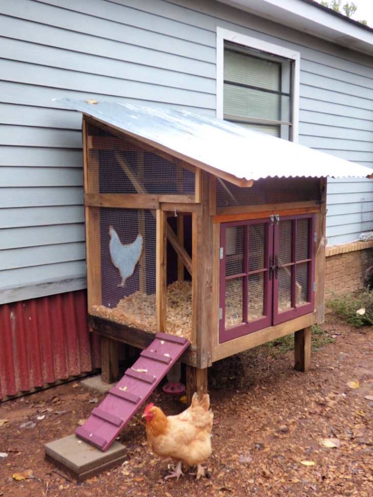 27 Free DIY Chicken Coop Plans That Beginners Can Build