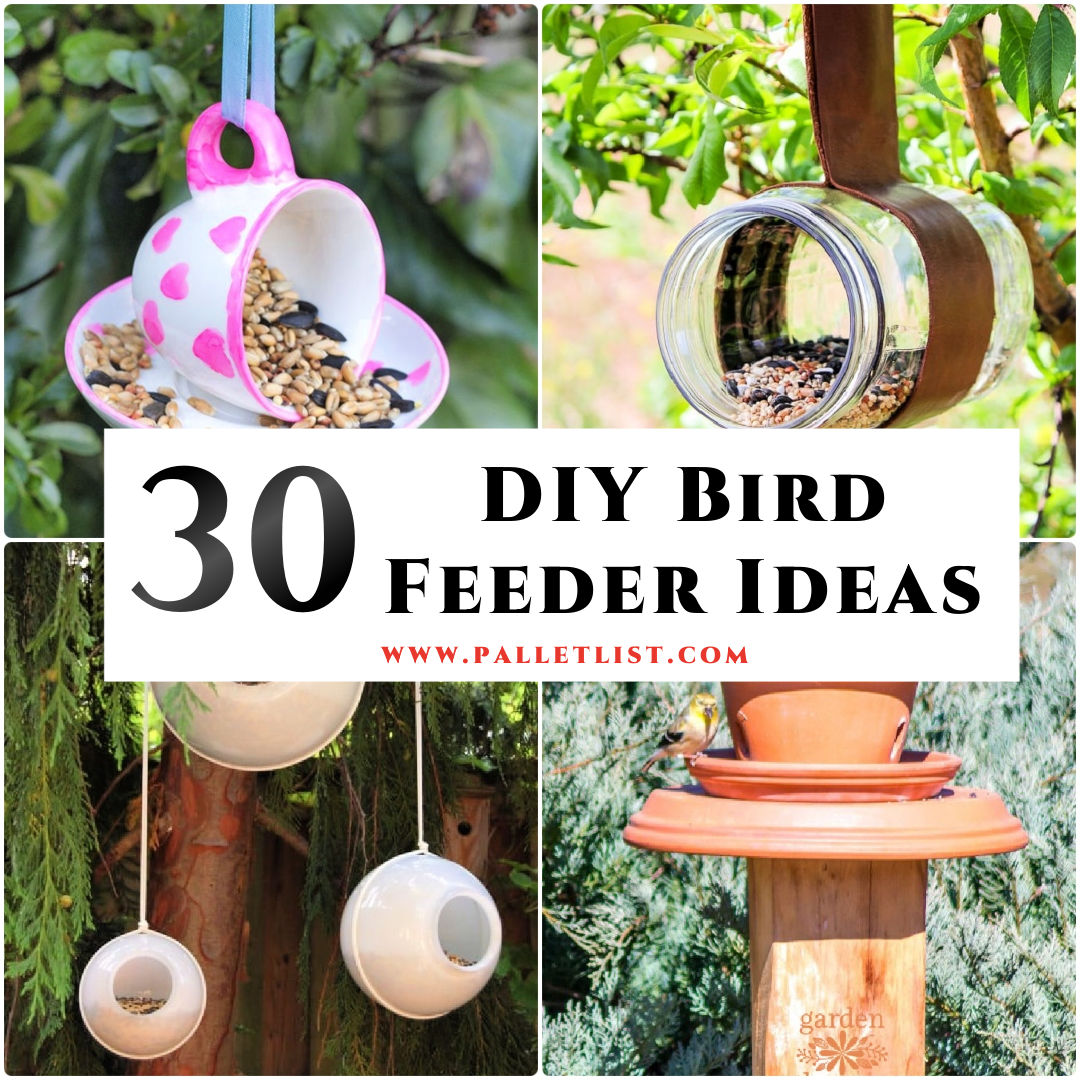 30 Homemade DIY Bird Feeder Ideas with Free Plans